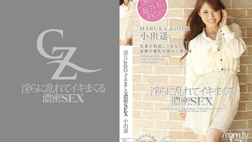 CZ013 不雅和狂欢的密集性行为